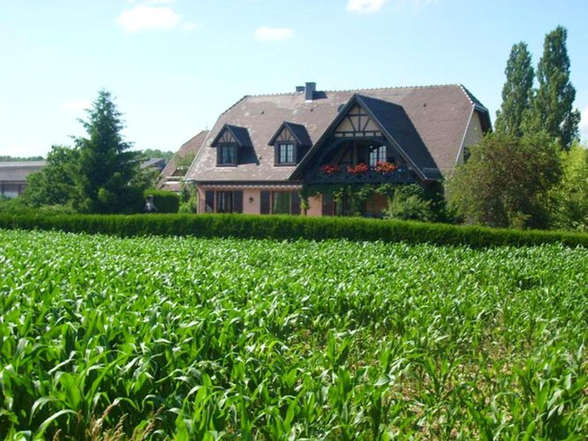 Appartement de 2 chambres avec jardin clos et wifi a Hochfelden Gottesheim Extérieur photo