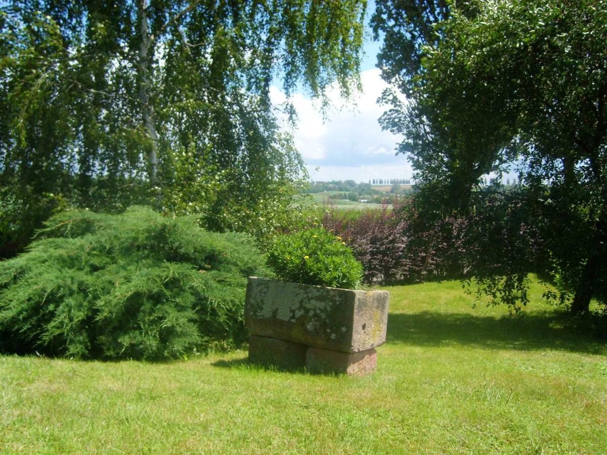 Appartement de 2 chambres avec jardin clos et wifi a Hochfelden Gottesheim Extérieur photo