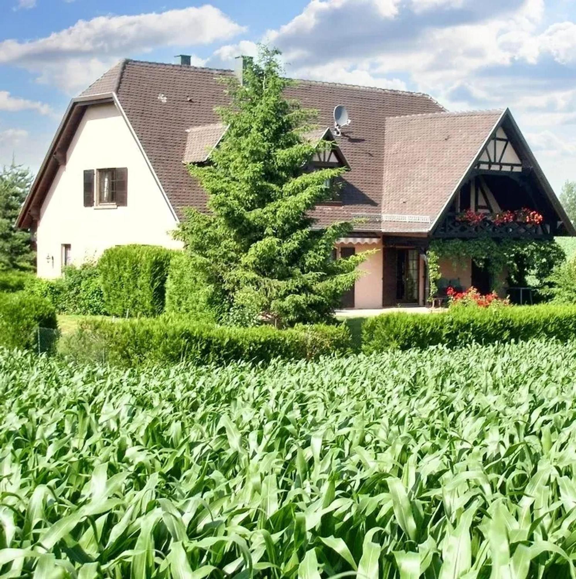 Appartement de 2 chambres avec jardin clos et wifi a Hochfelden Gottesheim Extérieur photo