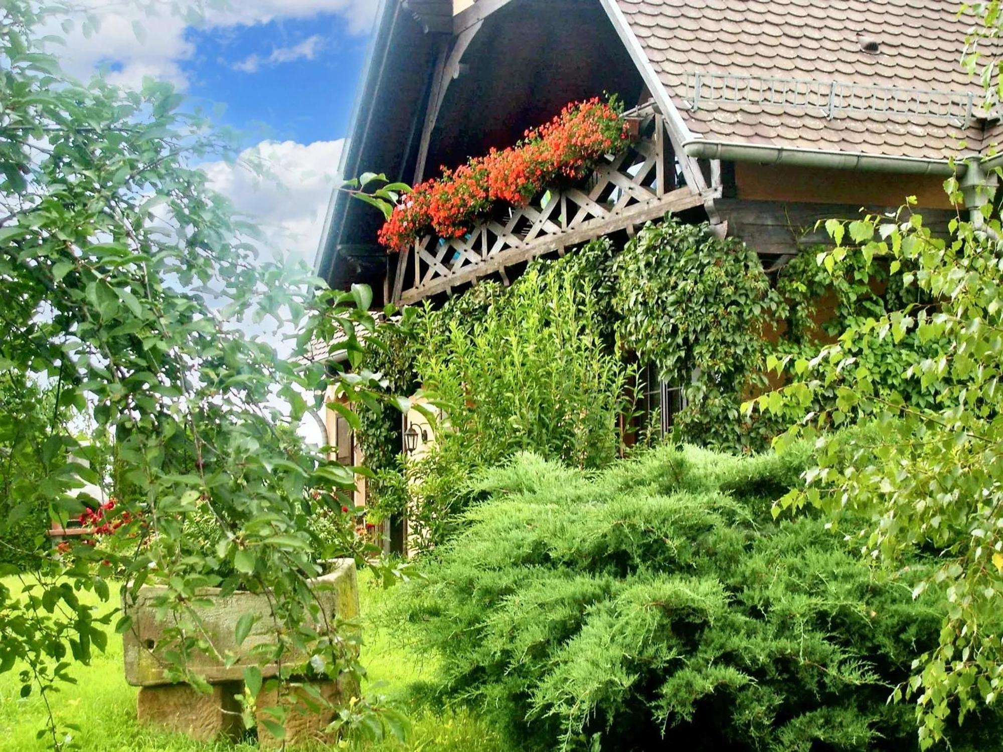 Appartement de 2 chambres avec jardin clos et wifi a Hochfelden Gottesheim Extérieur photo